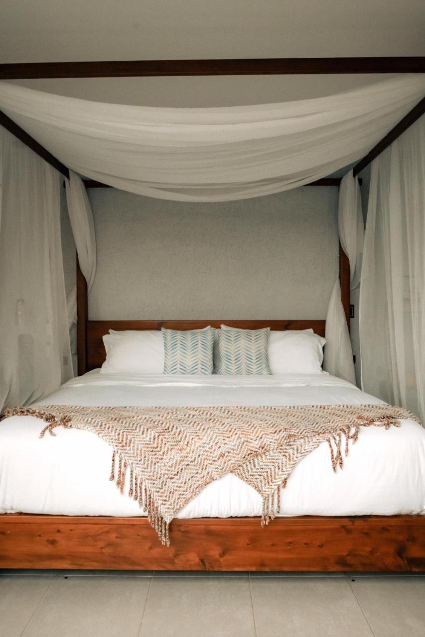 Santuario Luxury Eco Hotel 비예타 외부 사진